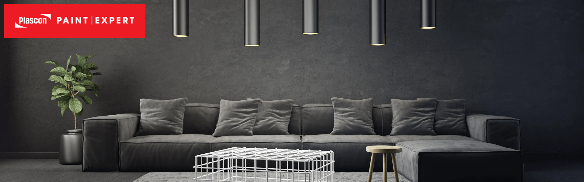 Plascon Paint Expert