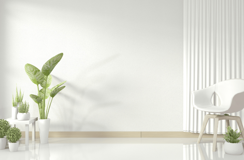 Plascon Paint Expert