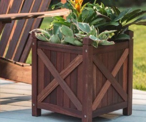 timbercity-stellenbosch-meranti-planter Meranti PAR
